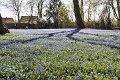 Fruehling2012   046
